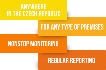 remote surveillance services remote surveillance