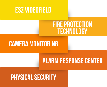 technical security services technical security