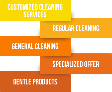 cleaning services